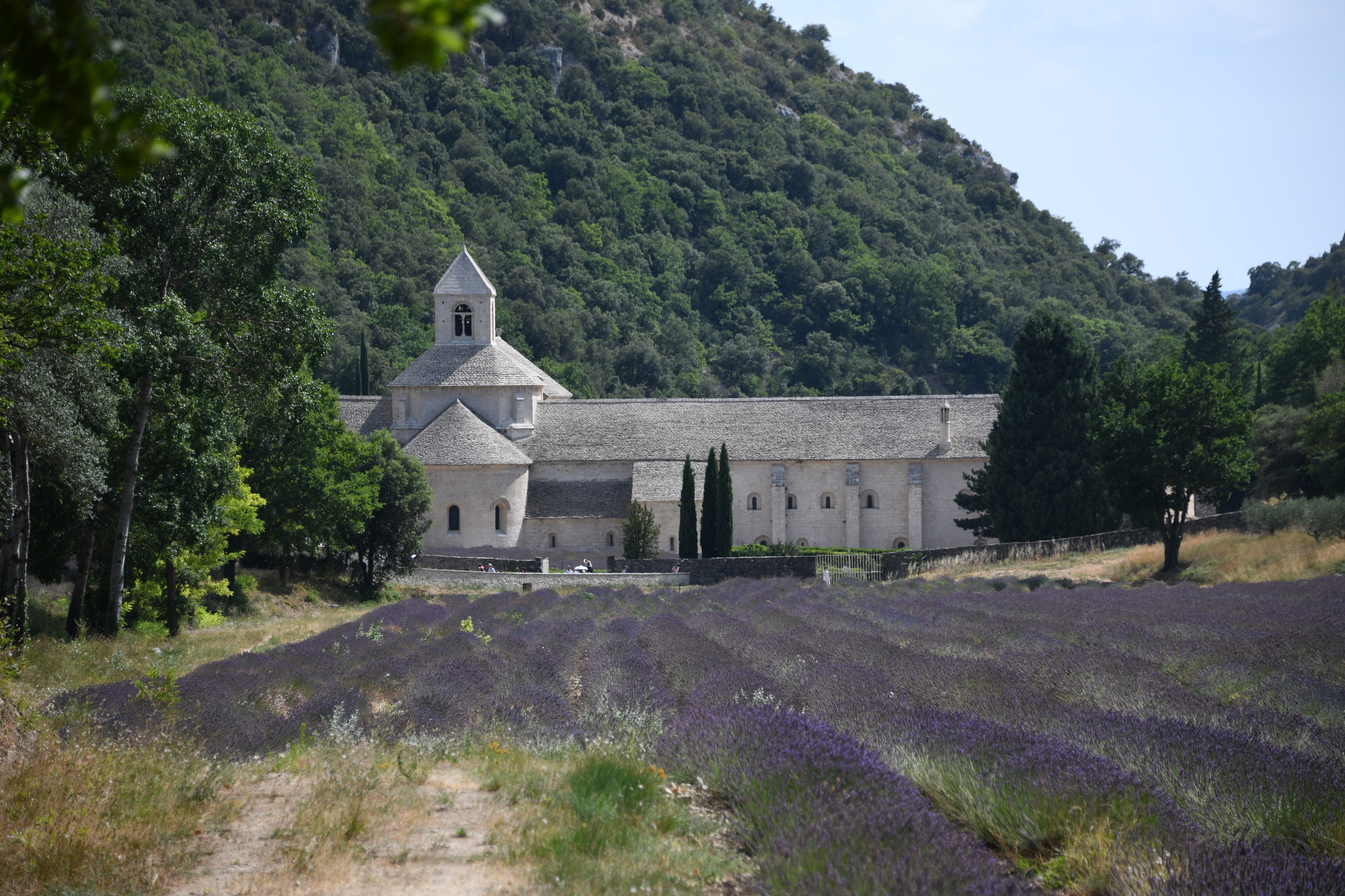 Photo de l'agence Villefranche-sur-Saone